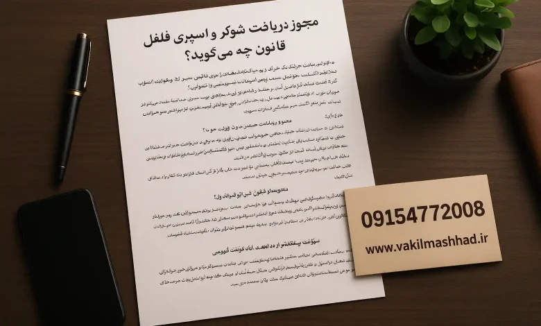 مجوز دریافت شوکر و اسپری فلفل | نکات قانونی و مجازات حمل غیرمجاز